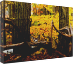 Look Who 18 x 12" Artisan Archival Canvas, Thin Gallery Wrap - Canvas Wraps & Ready to Hang - JustLook.Productions