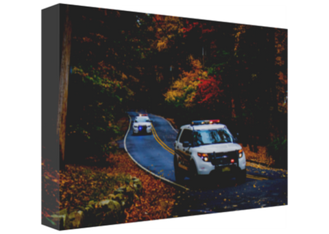 Just Look How Awesome that KPD 12 x 8" Artisan Archival Canvas Thin Gallery Wrap - Canvas Wraps & Ready to Hang - JustLook.Productions