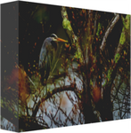 Great Blue Heron in Spring by Cantys 12 x 8" Artisan Archival Canvas Thick Gallery Wrapped - Canvas Wraps & Ready to Hang - JustLook.Productions