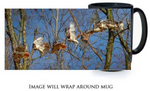 Red-tailed Hawk Sortie Composite 15 oz. Mug - Black - Mugs and Drinkware - JustLook.Productions